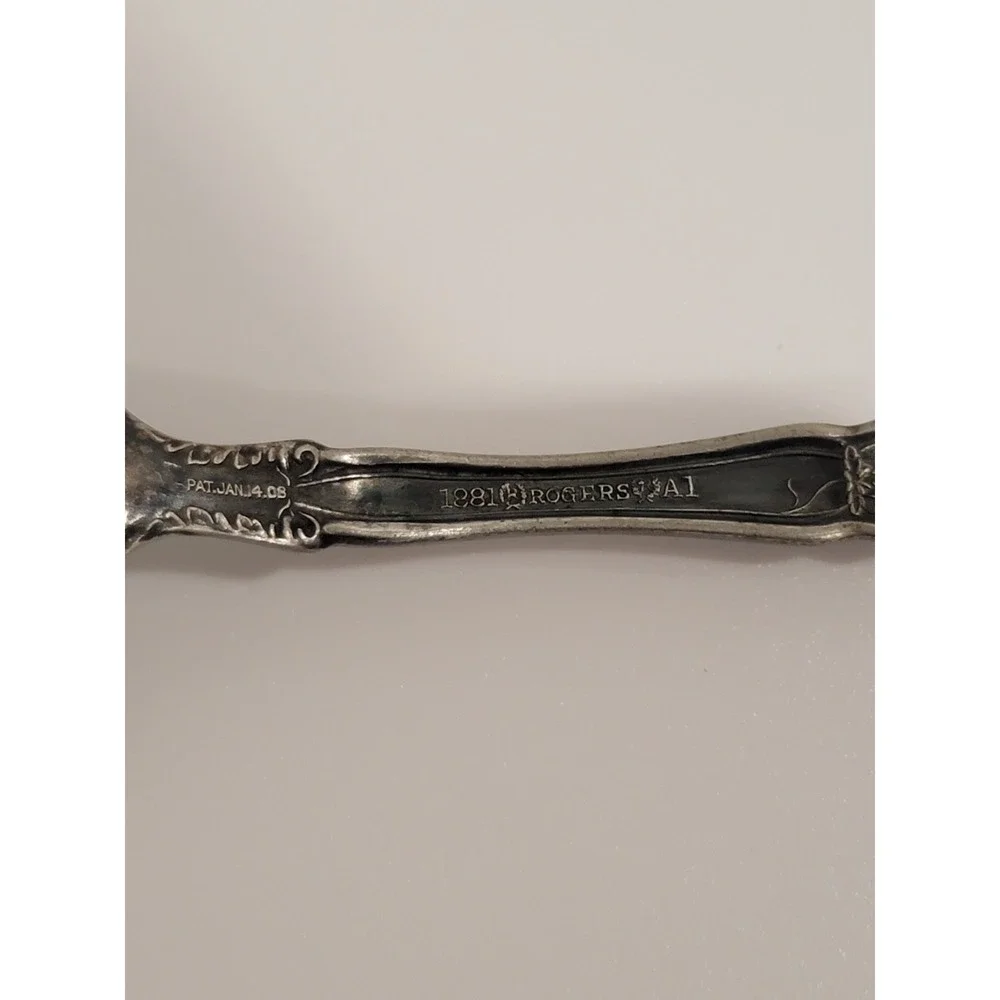 Le Vigne WM Rogers 1881 Flatware Grape Pattern 1908 Sugar Spoon Silver Plate.8oz